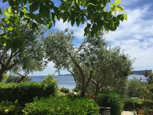 Hostal Porto Valitsa