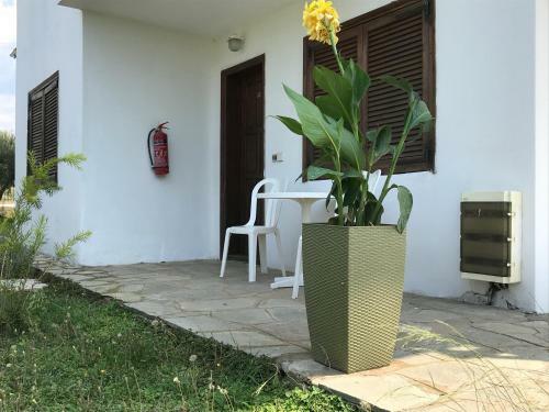 Apartamento Santa Catalina