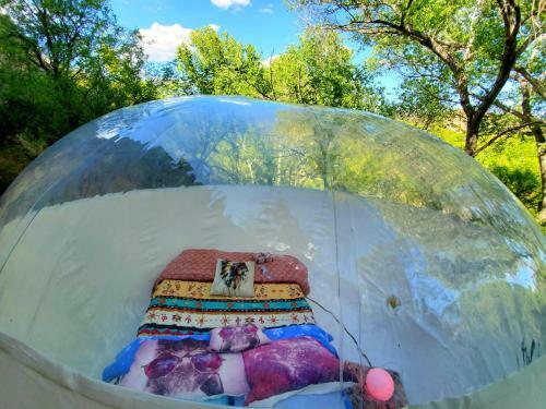 Cave, Yurt, Bubble And Other Glamping Adventures