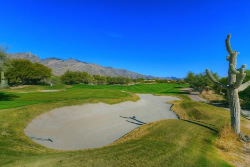 Treetops At Ventana