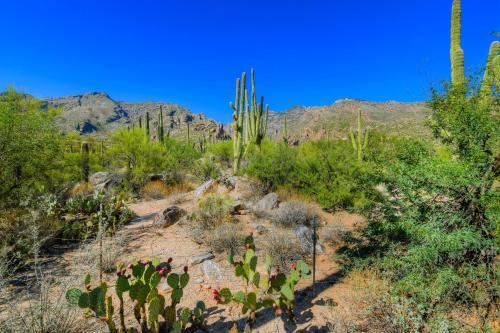 Treetops At Ventana