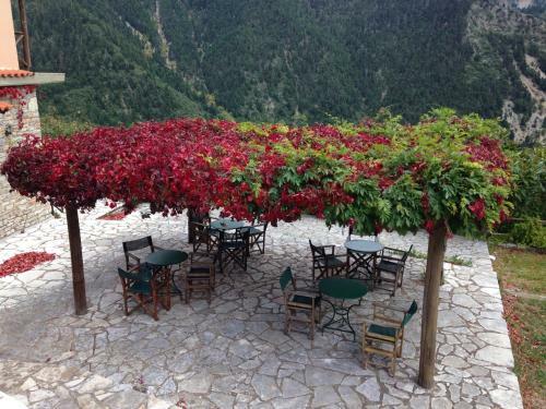 Hostal Dryades Guesthouse