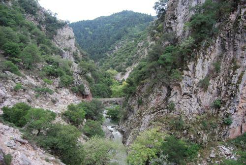 Hostal Dryades Guesthouse