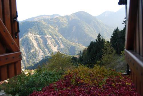 Hostal Dryades Guesthouse