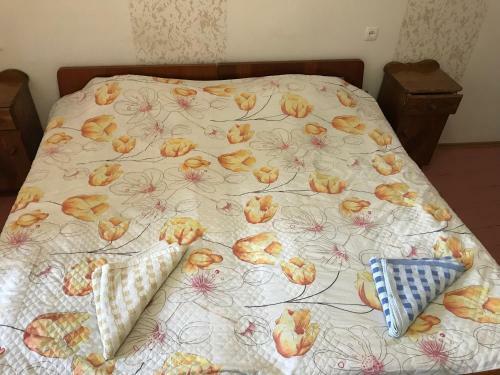 Hostal Sana Guest House