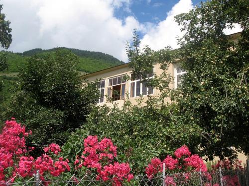 Hostal Guesthouse Lenjeri