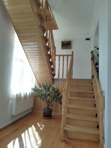 Hostal Guesthouse Lenjeri