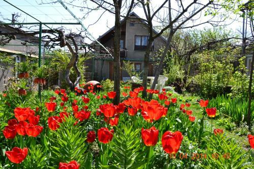 Hostal Milorava's Guest House