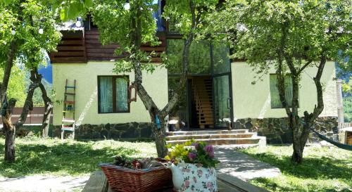 Hostal Ioska's House