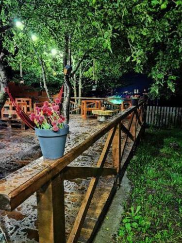 Hostal Ioska's House