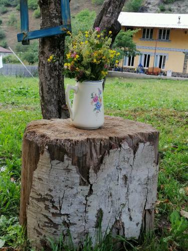 Hostal Ioska's House