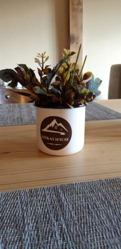 Hostal Ioska's House