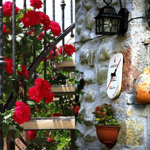 Hotel Chateau Mere