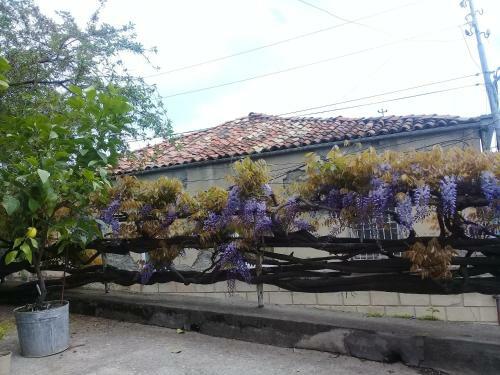 Hostal Tlt Guest House