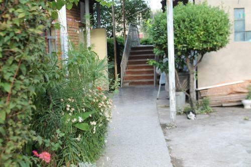 Hostal Tlt Guest House
