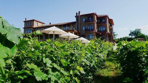 Villa Schuchmann Wines Chateau