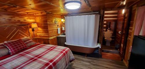 Hotel Log Cabin Inn