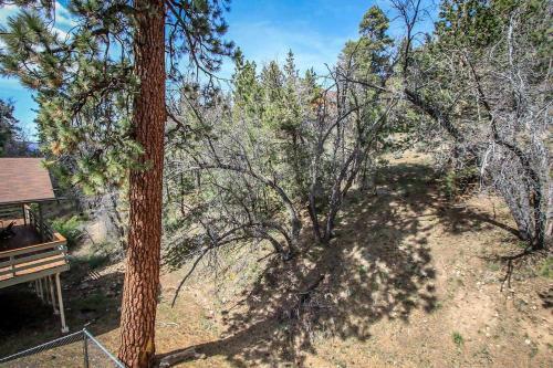 Mountain Top-1532 By Big Bear Vacations