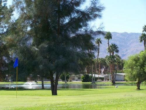Roadrunner Club 18 Home