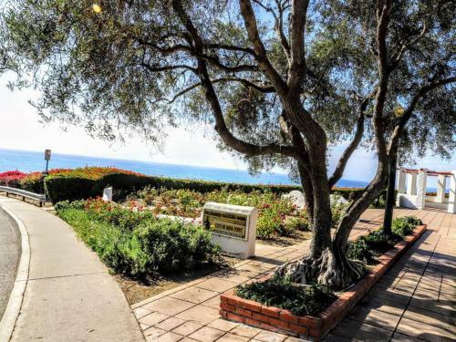 Danapoint 2bed Home, Walk To Beach