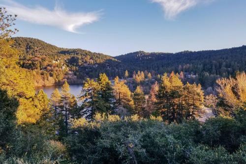 The Atomic Squirrel Lodge Lake Gregory Getaway!