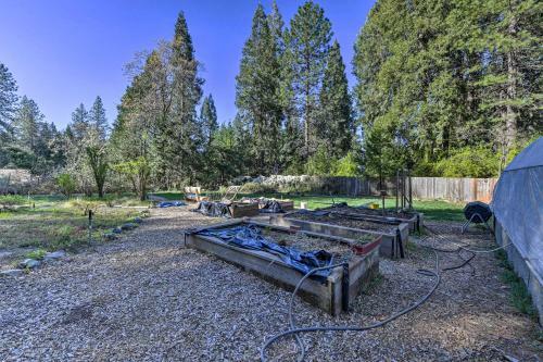 Secluded Cottage On 2 5 Acres With Pond And Bbq!