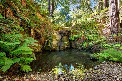 Havens Creek Suites