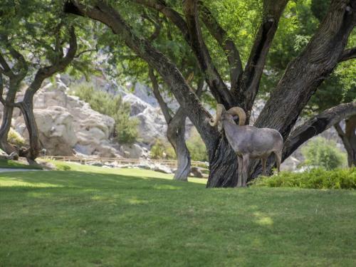Mountain View Oasis At Pga West