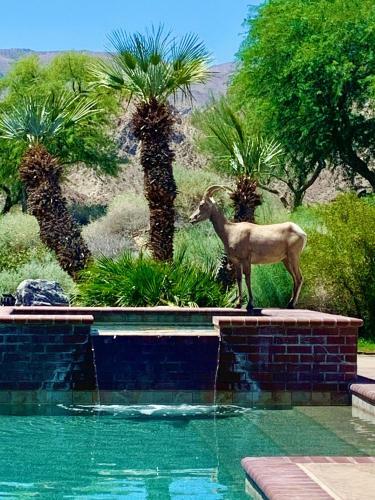 Must See-5 Star Rated-stunning Views, Pool, Spa And More