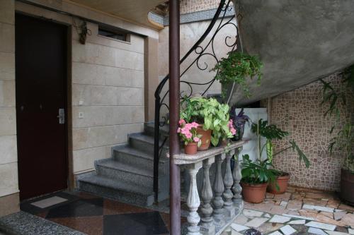 Hostal Sunny Guest House