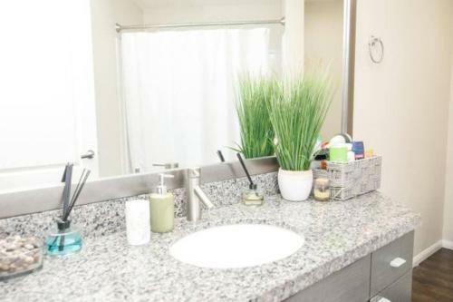 Apartamento Oak Management Mdr