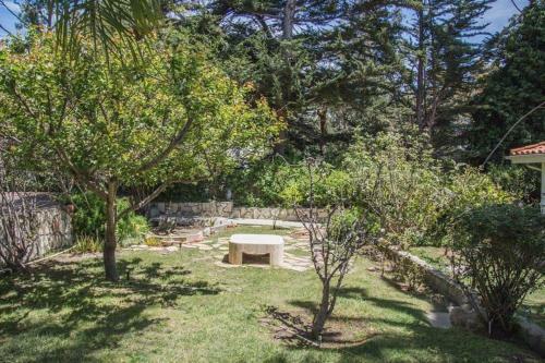 Villa Brody