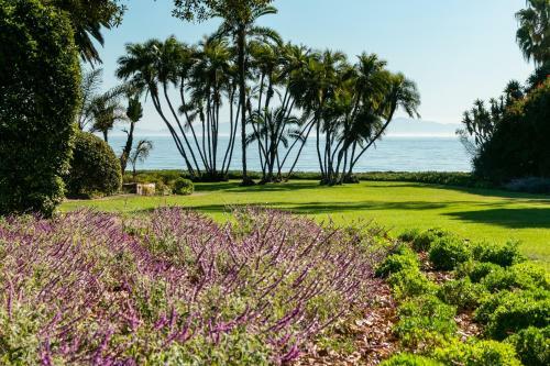 New Listing! Palatial Beachfront Estate With Casita Home