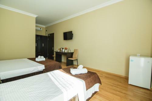 Hotel Egrisi