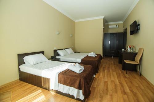 Hotel Egrisi
