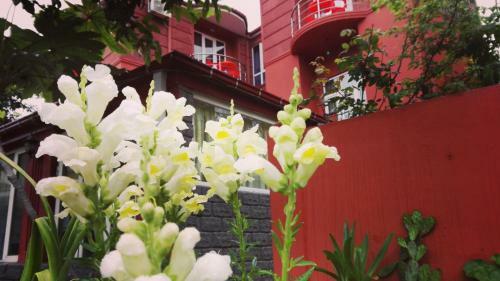 Posada Gold Hotel