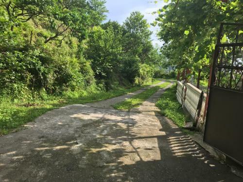 Hostal Gonio Guest House