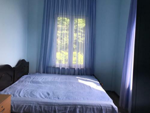 Hostal Gonio Guest House