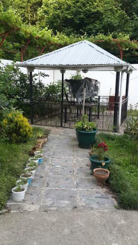 Hostal Gonio Guest House