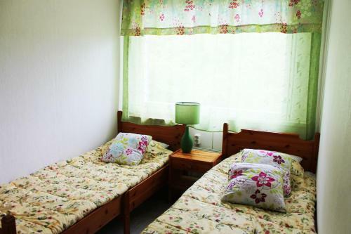 Apartments Savonlinna