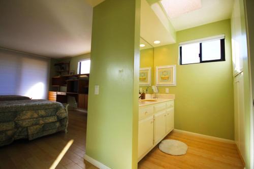 Midtown Mountain View Villa