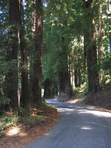 Agroturismo Pescadero Creek Inn