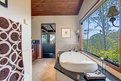 Del Mar Tree House - Views For Days, Perched Atop Del Mar! Home