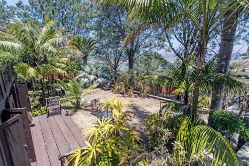 Del Mar Tree House - Views For Days, Perched Atop Del Mar! Home