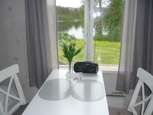 Lemmenjoki Camping & Cabins