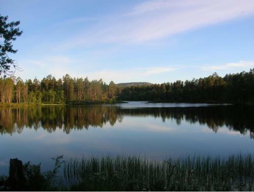 Lemmenjoki Camping & Cabins