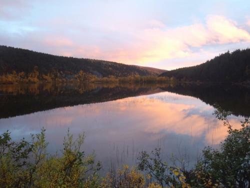Lemmenjoki Camping & Cabins