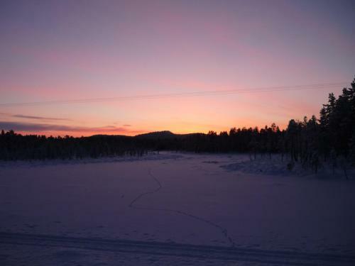 Lemmenjoki Camping & Cabins