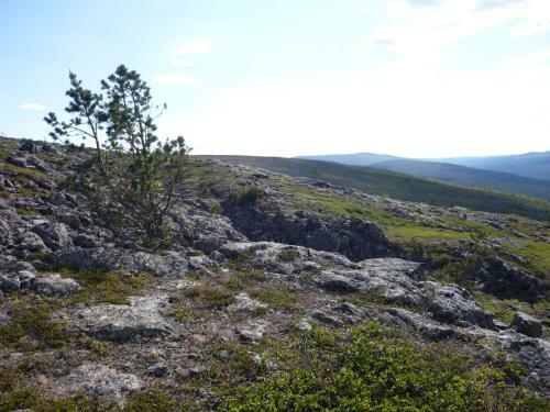 Lemmenjoki Camping & Cabins