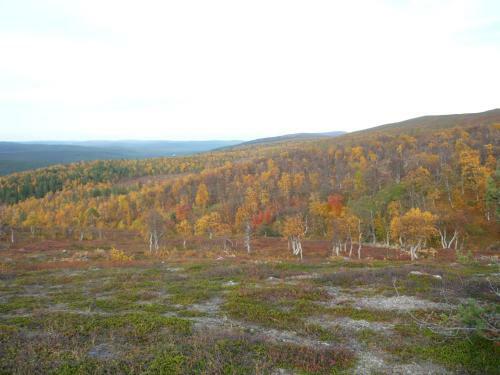 Lemmenjoki Camping & Cabins